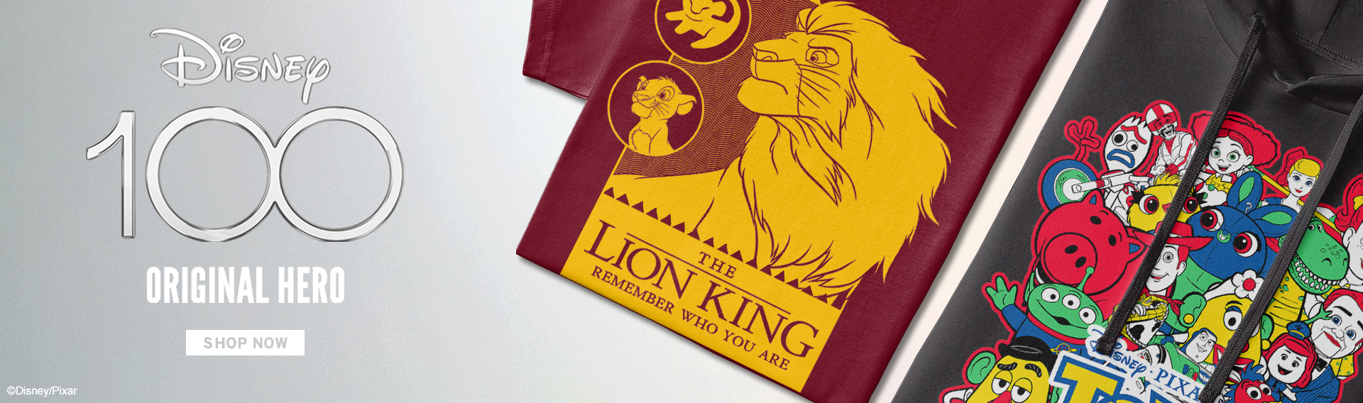 DISNEY 100 GO LIVE BANNERS